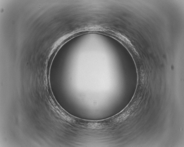 X0000060801176200511141432