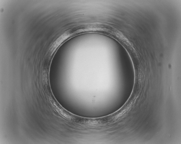 X0000060801177200511141432