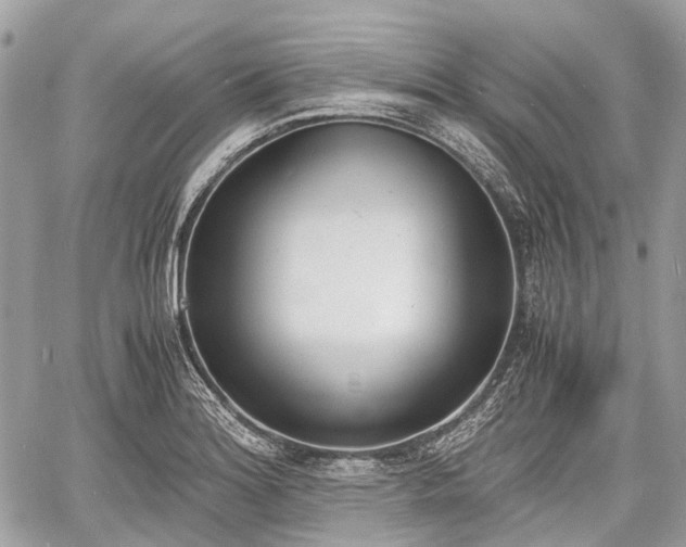 X0000060801180200511141432