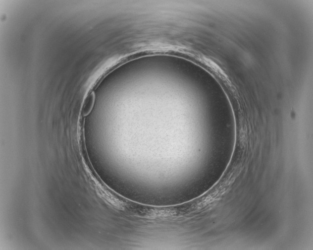 X0000060801183200511141432