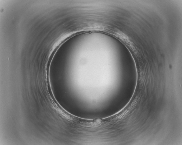 X0000060801184200511141432