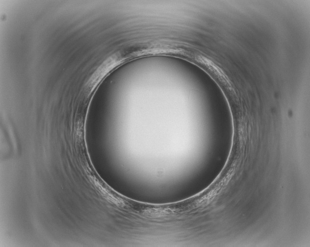 X0000060801185200511141432