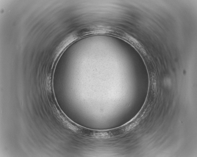 X0000060801186200511141432