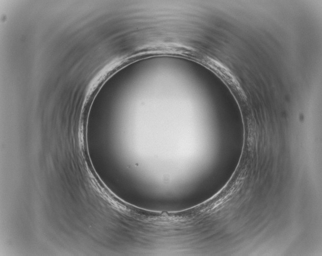 X0000060801188200511141432