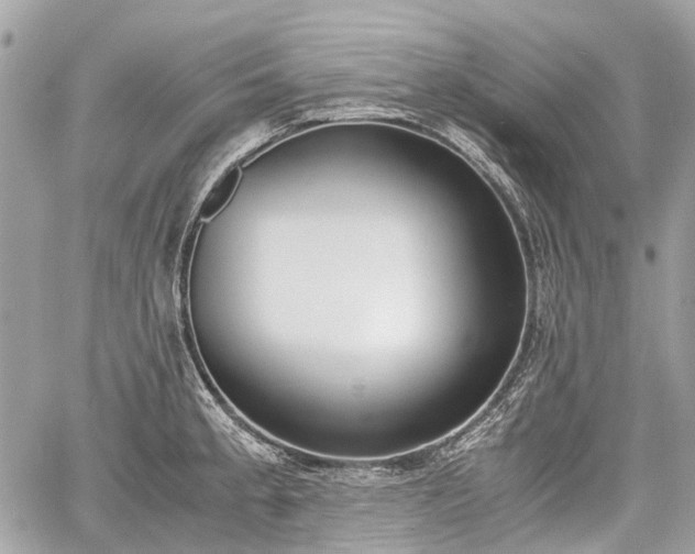 X0000060801189200511141432