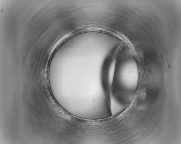 X0000060801190200511141432