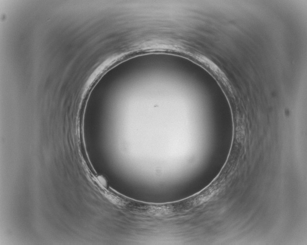 X0000060801191200511141432