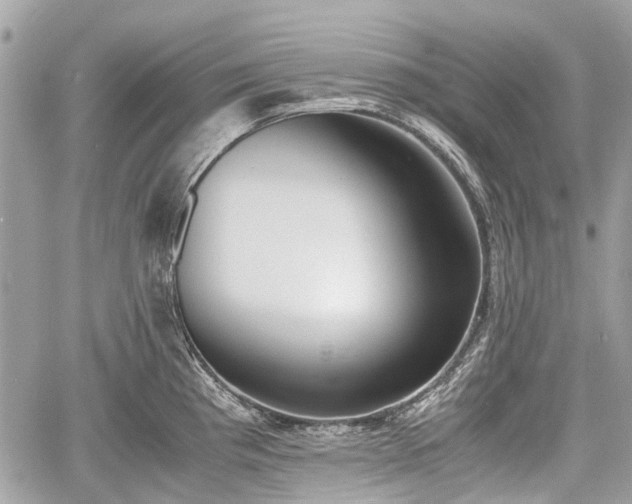 X0000060801193200511141432