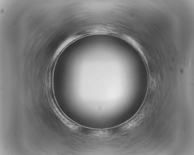 X0000060801195200511141431