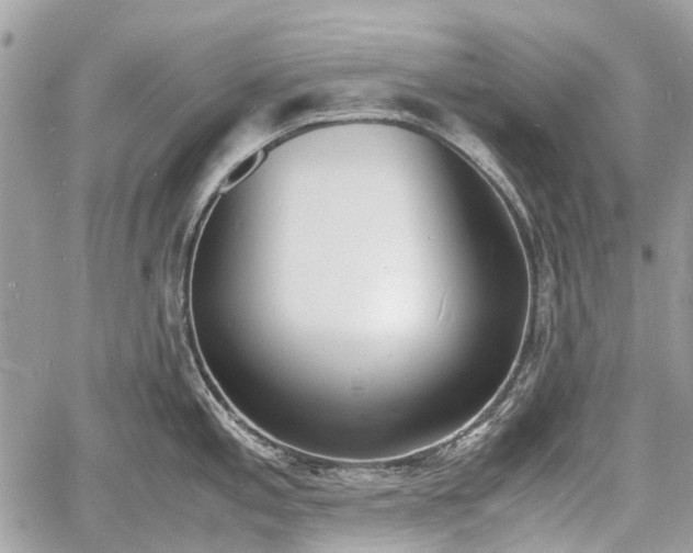 X0000060801197200511141431