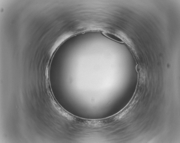 X0000060801198200511141431