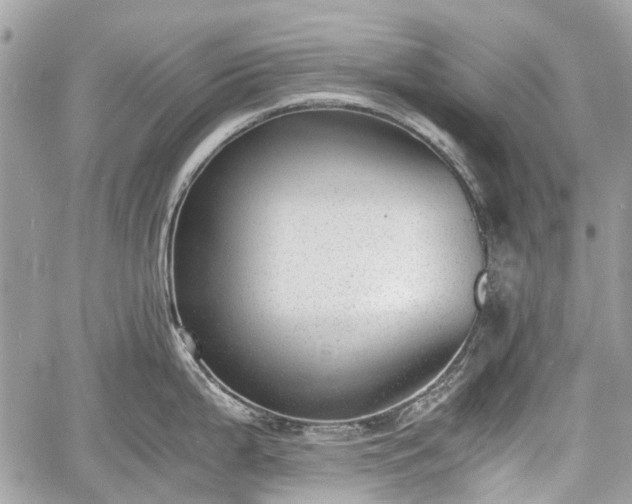 X0000060801199200511141431