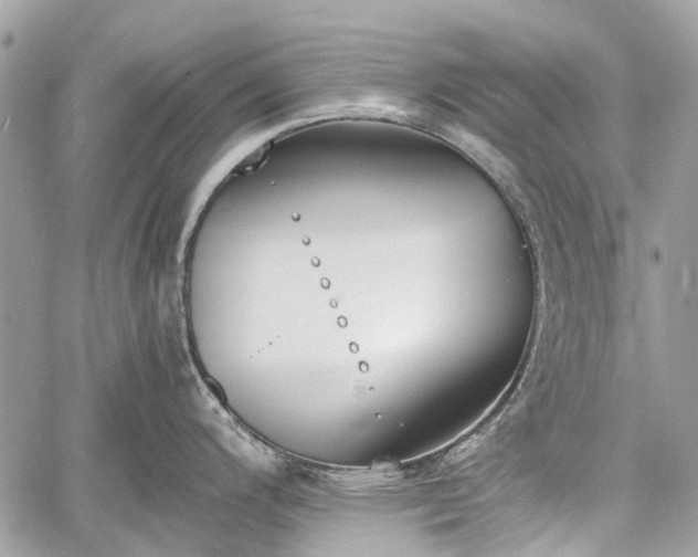 X0000060801200200511141431