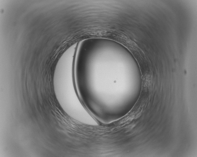 X0000060801202200511141431