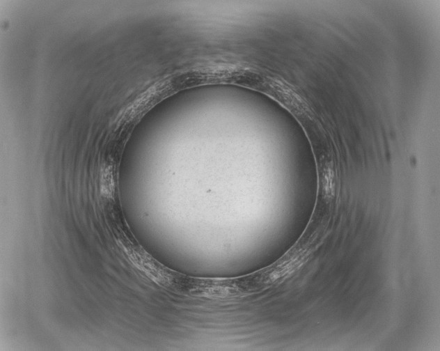 X0000060801204200511141431