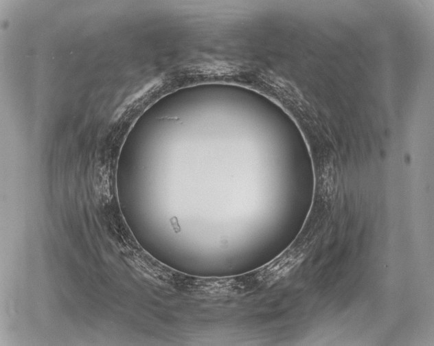 X0000060801205200511141431