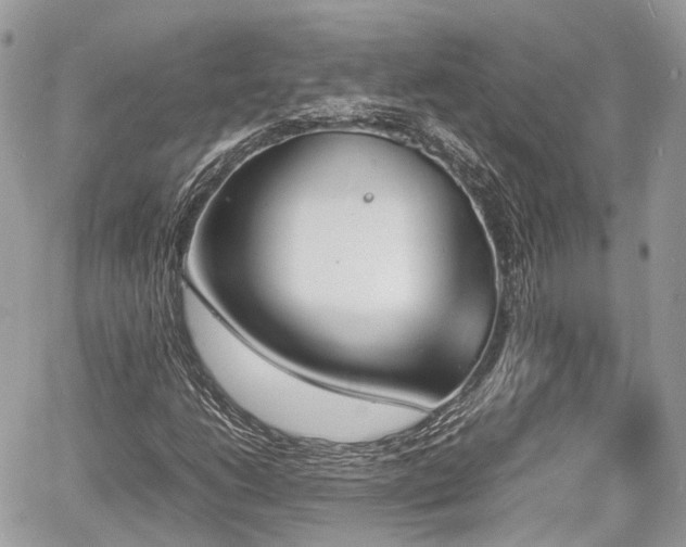 X0000060801206200511141431