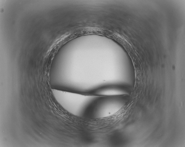 X0000060801207200511141431