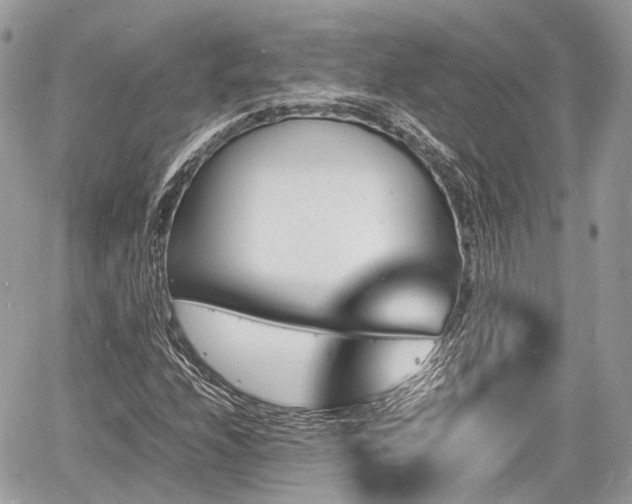 X0000060801208200511141431