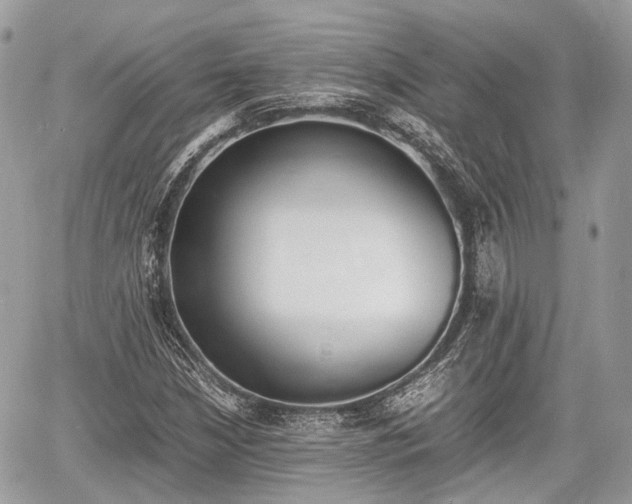 X0000060801210200511141431