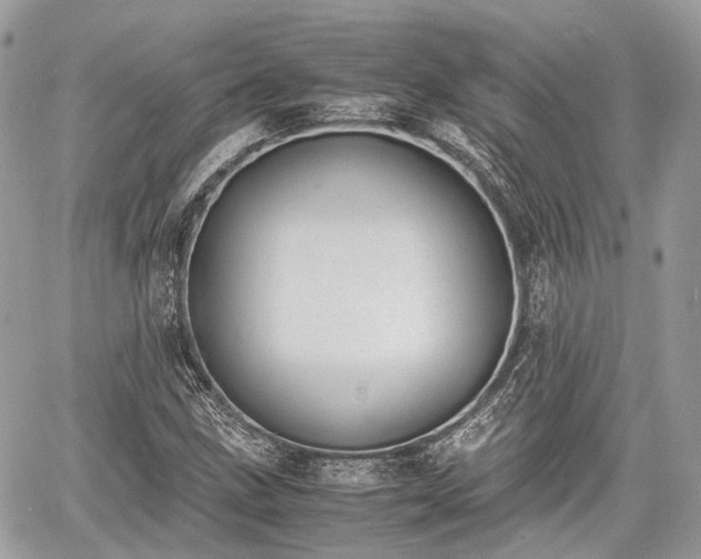 X0000060801211200511141431