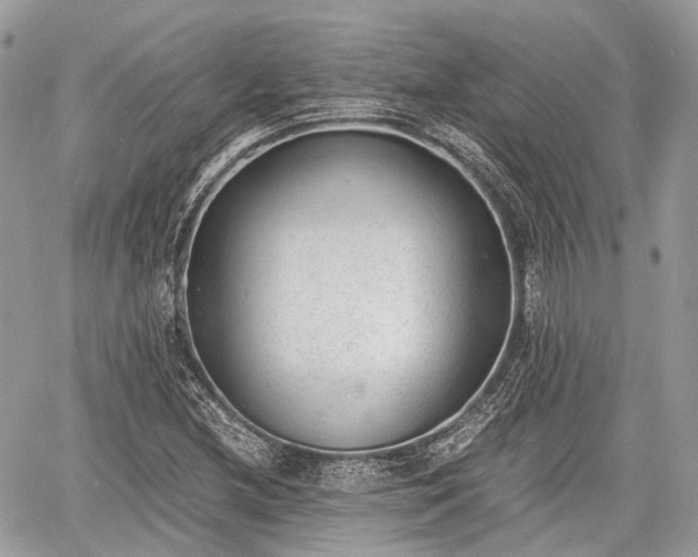 X0000060801212200511141431