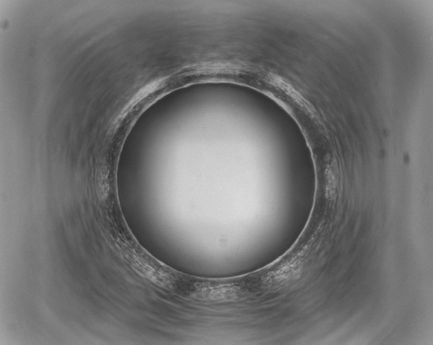 X0000060801213200511141431