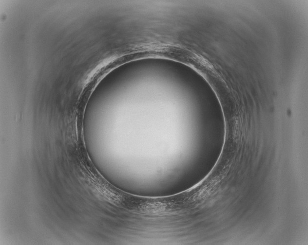 X0000060801214200511141431