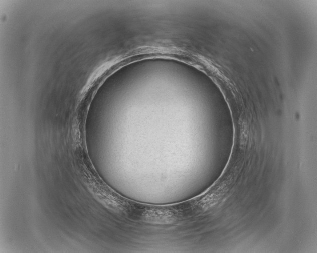 X0000060801215200511141431