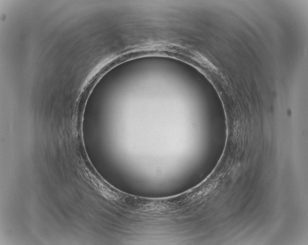 X0000060801216200511141431