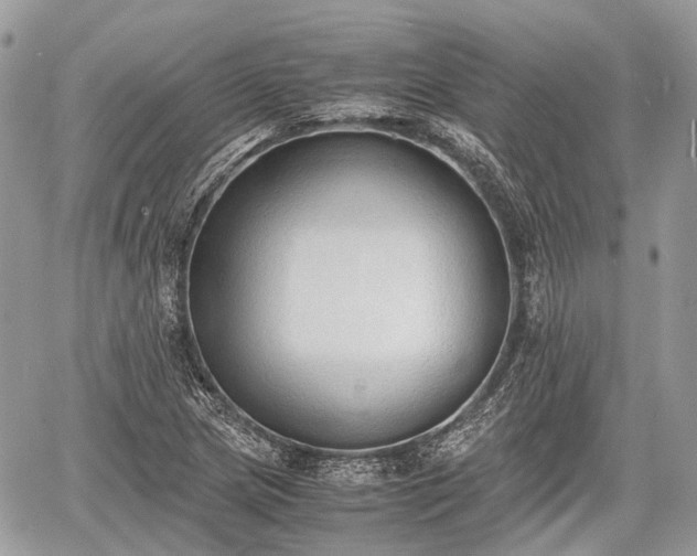 X0000060801217200511141431