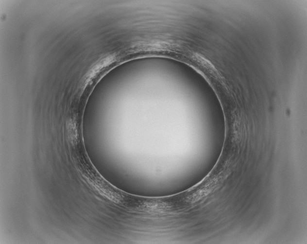 X0000060801218200511141431