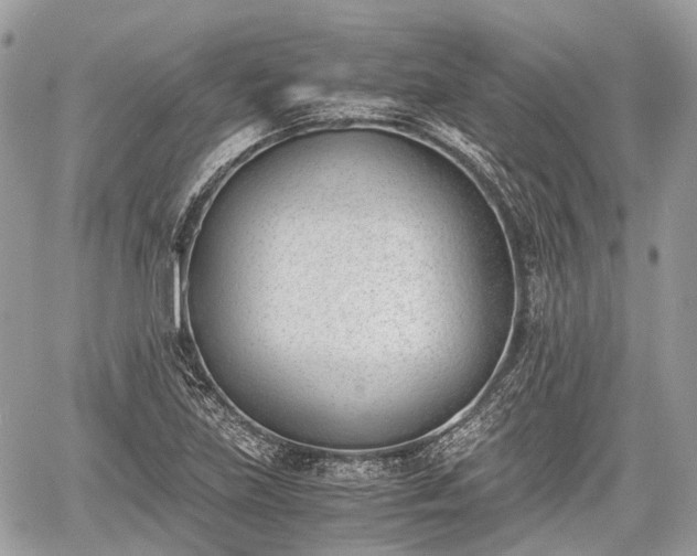 X0000060801219200511141431