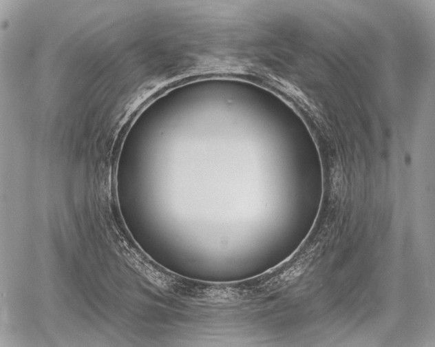 X0000060801220200511141431