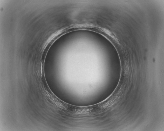 X0000060801221200511141431