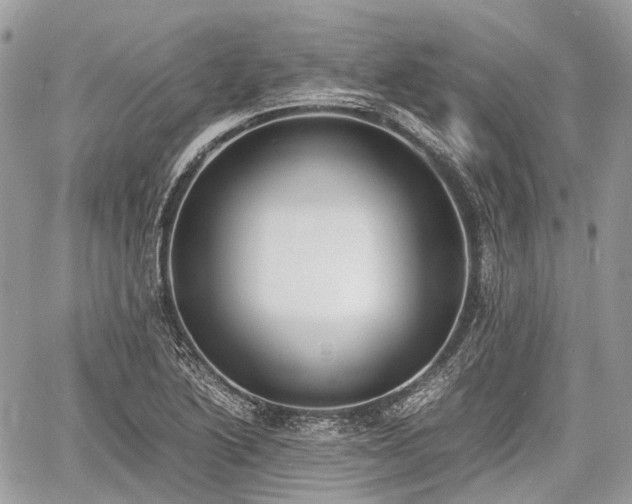 X0000060801222200511141431