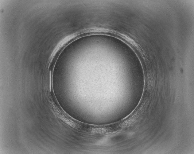 X0000060801223200511141431