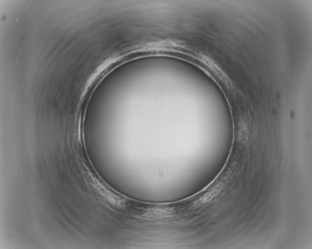 X0000060801224200511141431