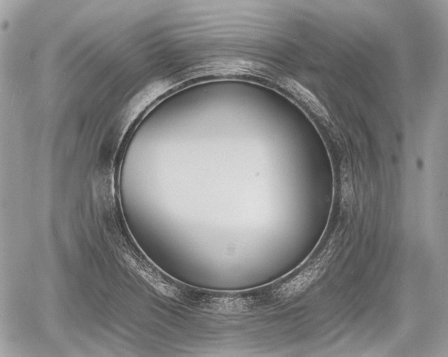 X0000060801226200511141431