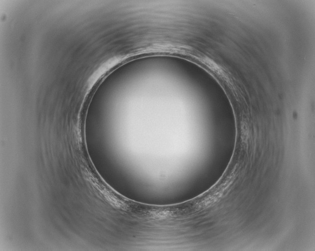 X0000060801230200511141431