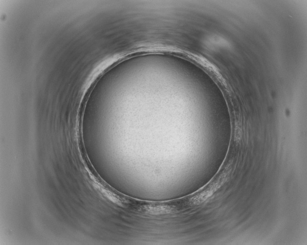 X0000060801231200511141431