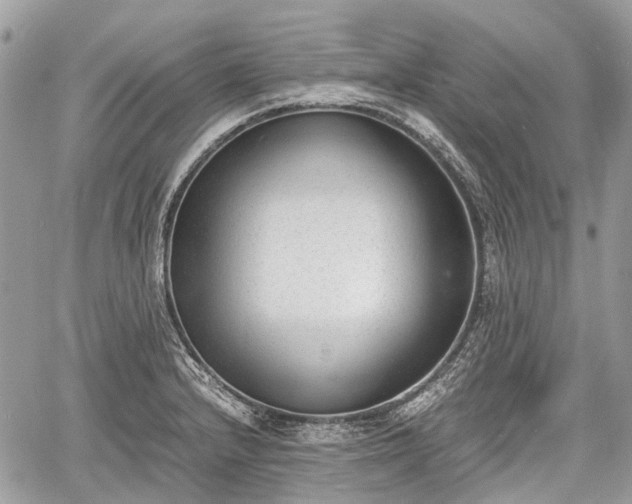 X0000060801232200511141431