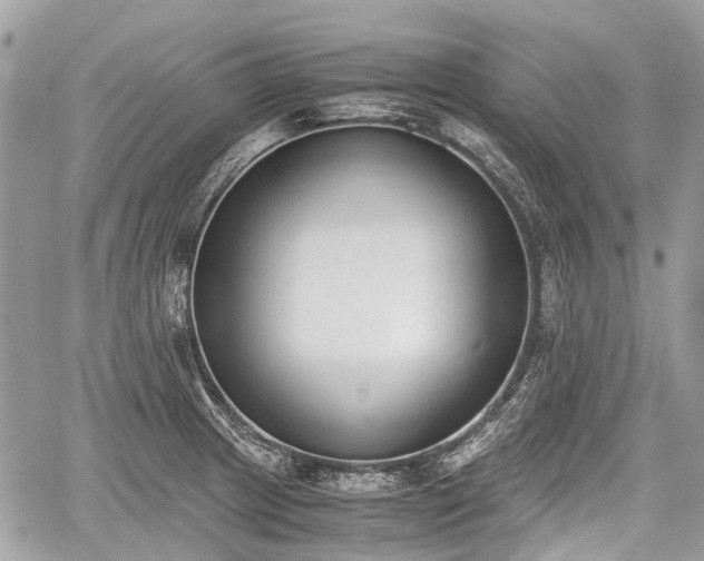 X0000060801233200511141431