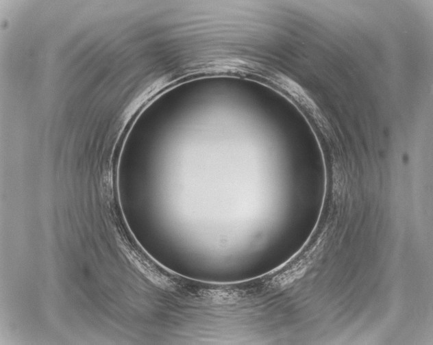 X0000060801234200511141431