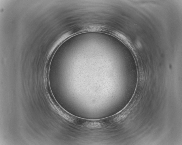 X0000060801235200511141431