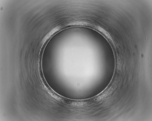 X0000060801237200511141431