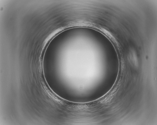 X0000060801238200511141431