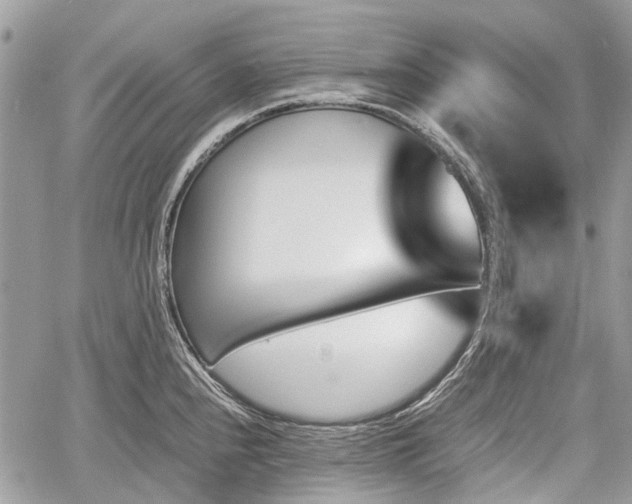 X0000060801240200511141431