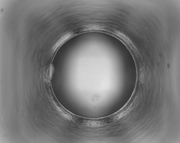 X0000060801241200511141431