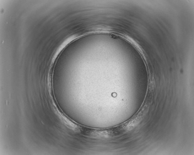 X0000060801243200511141431